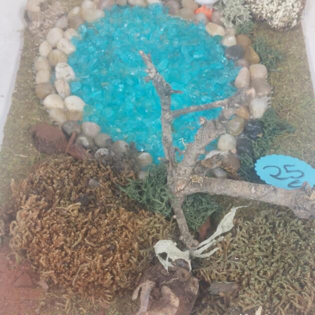 oasis