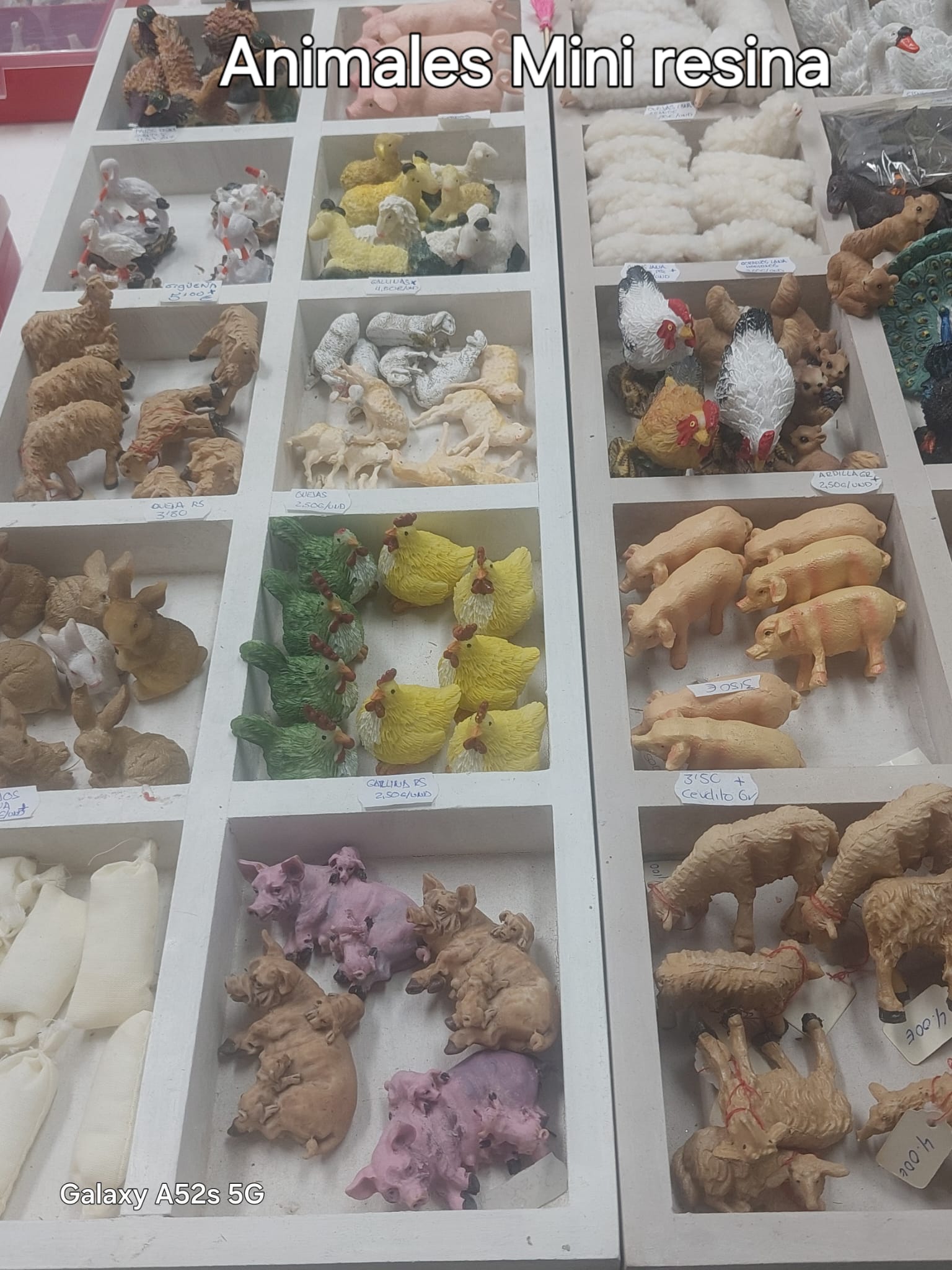 animales belen